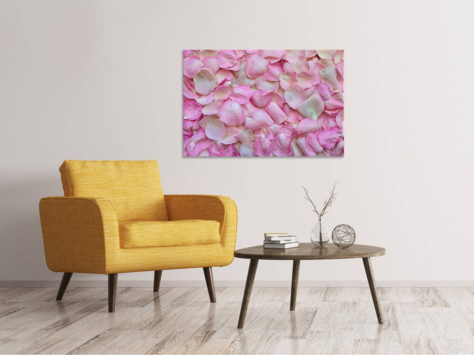 Canvas print rose petals in pink