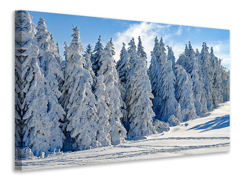 Canvas print Beautiful winter landscape