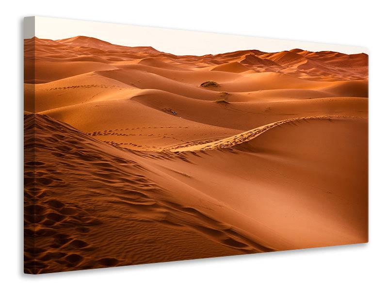 Canvas print Traces in the desert