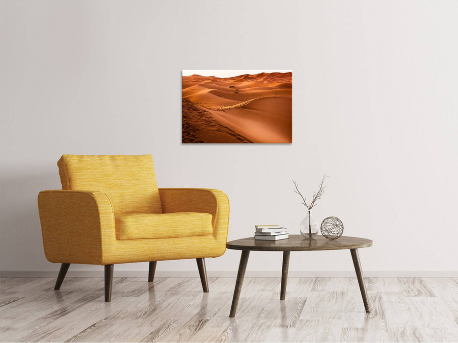 Canvas print Traces in the desert