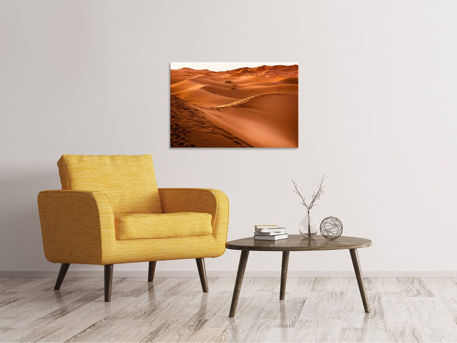 Canvas print Traces in the desert