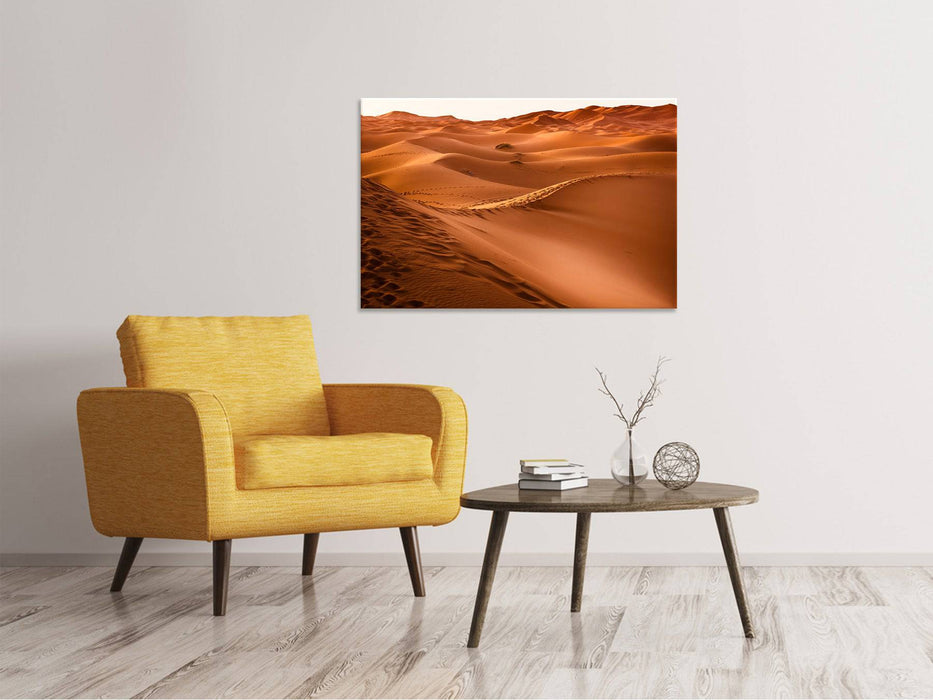 Canvas print Traces in the desert