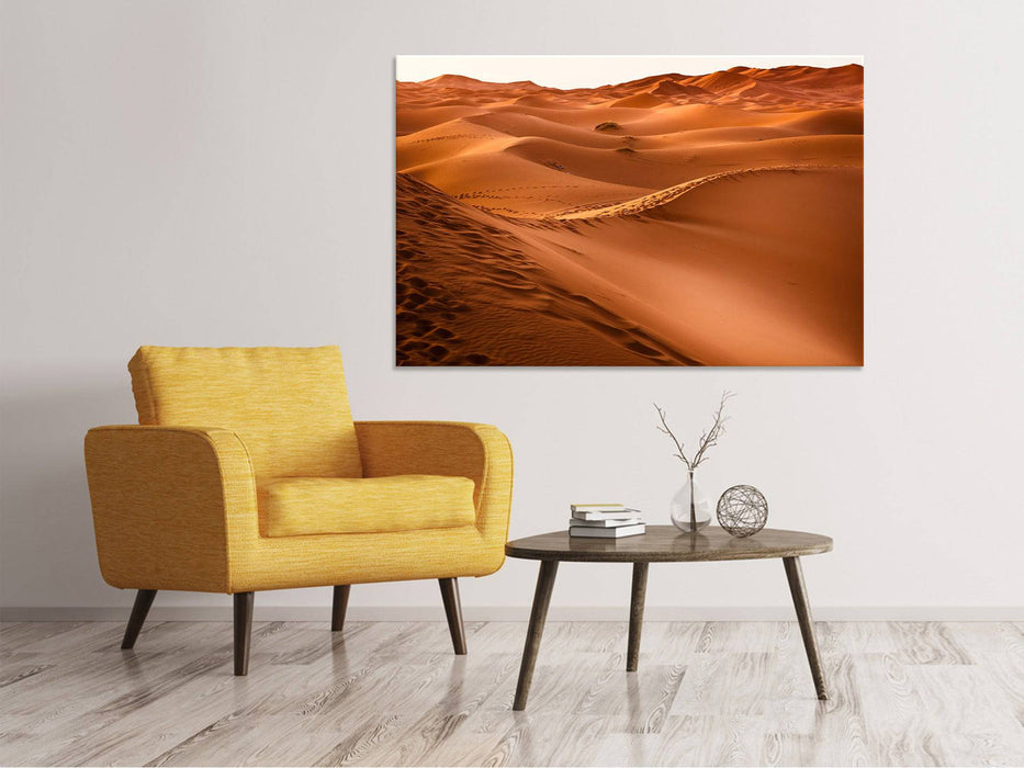 Canvas print Traces in the desert