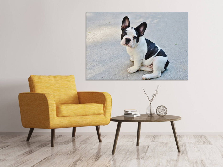 Tableaux sur toile Mignon bouledogue français