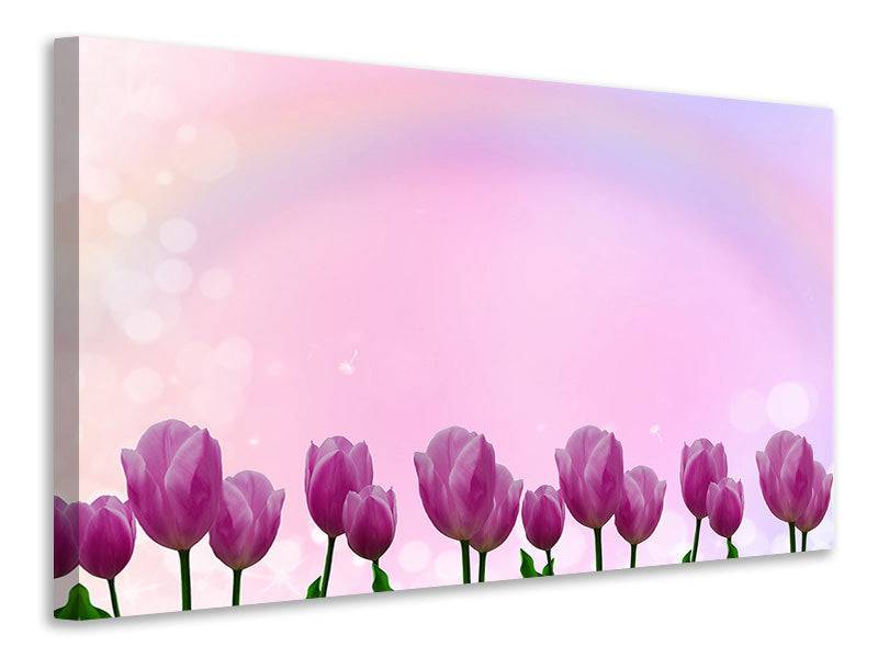 Tableaux sur toile Tulipes douces