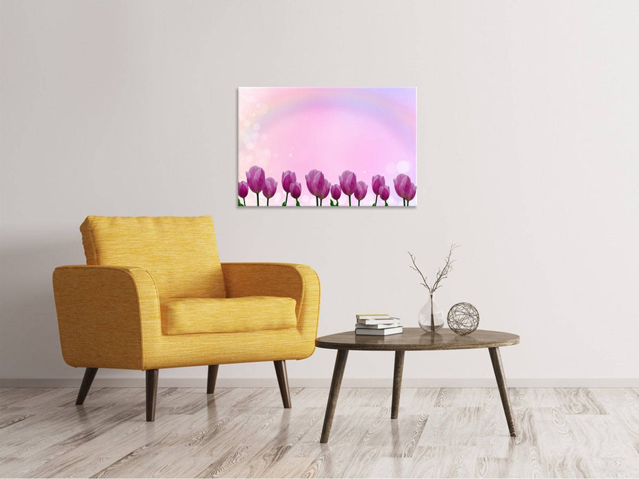 Tableaux sur toile Tulipes douces