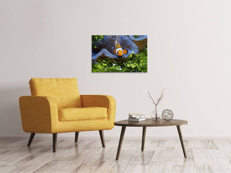 Canvas print Cute clown fish