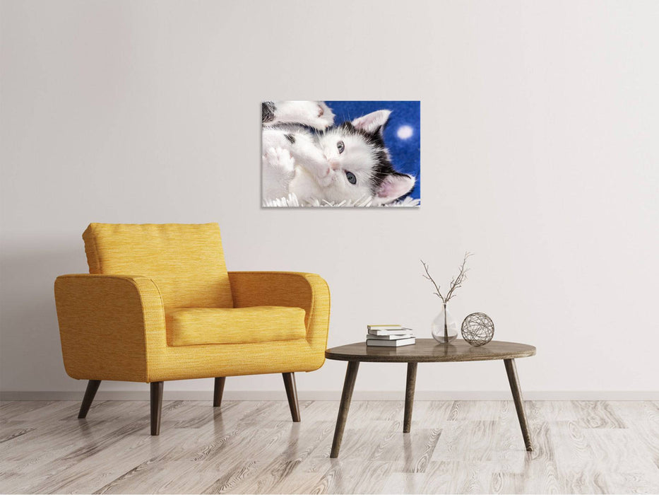 Canvas print Cute kitten