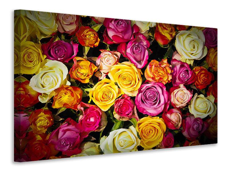 Canvas print Many colorful rose petals