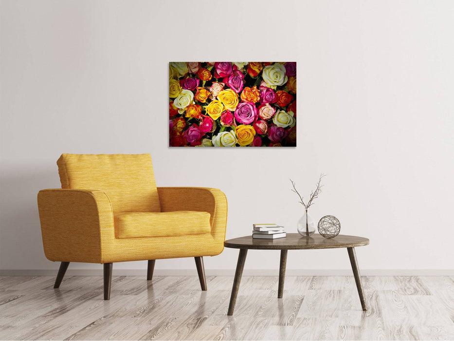 Canvas print Many colorful rose petals