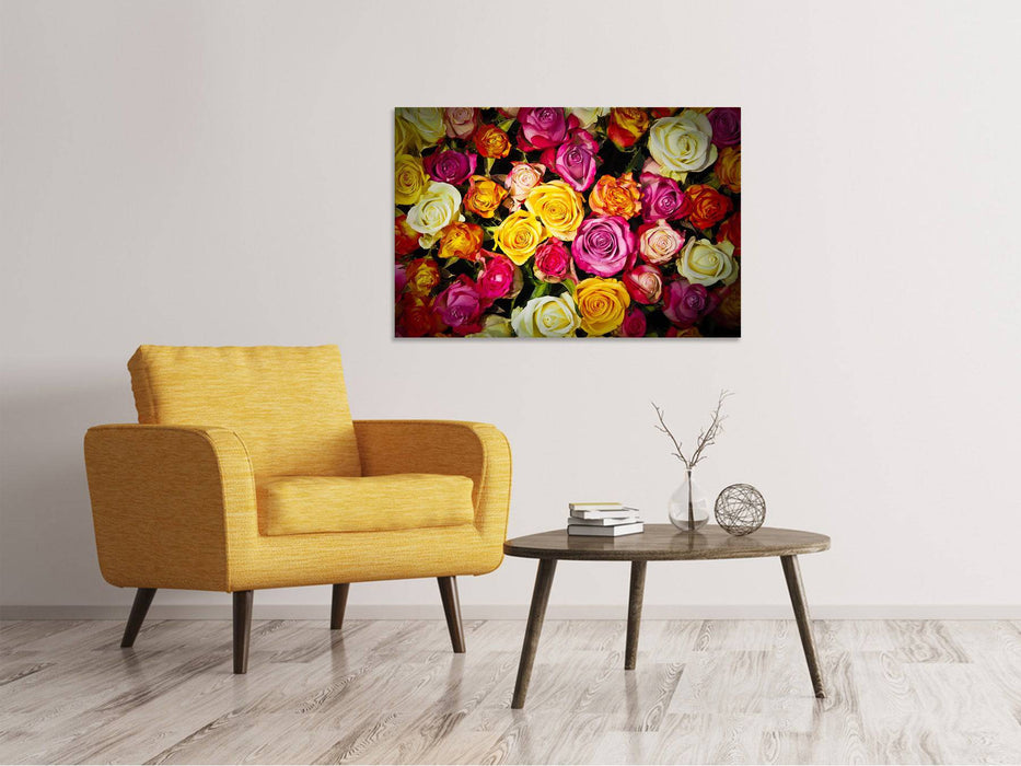 Canvas print Many colorful rose petals