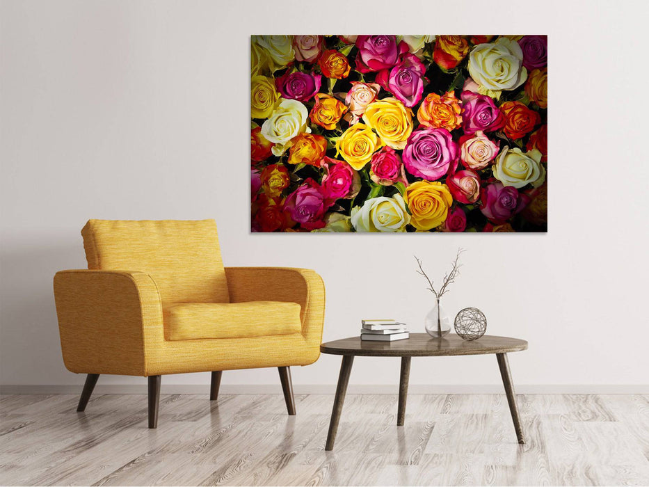 Canvas print Many colorful rose petals