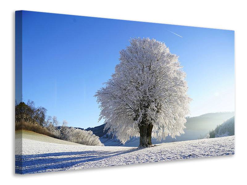 Canvas print Winter fairy tale