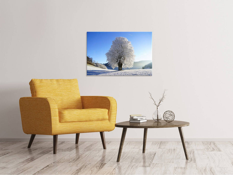 Canvas print Winter fairy tale