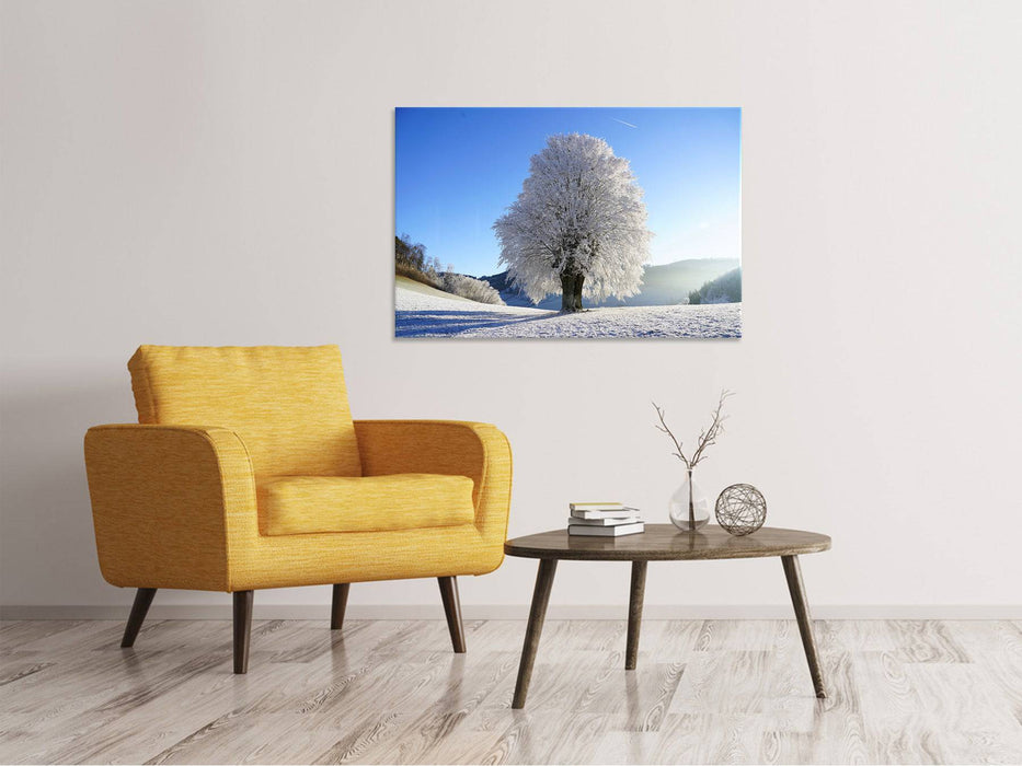 Canvas print Winter fairy tale