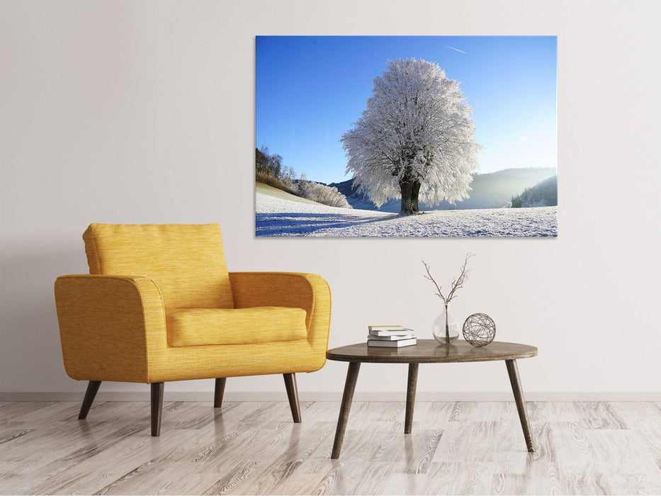 Canvas print Winter fairy tale