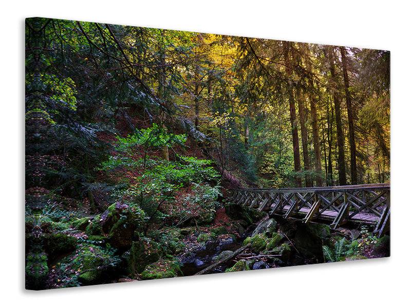 Canvas print The forest bridge