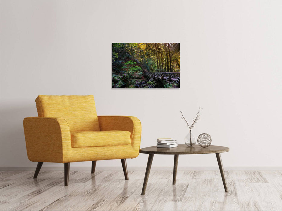 Canvas print The forest bridge