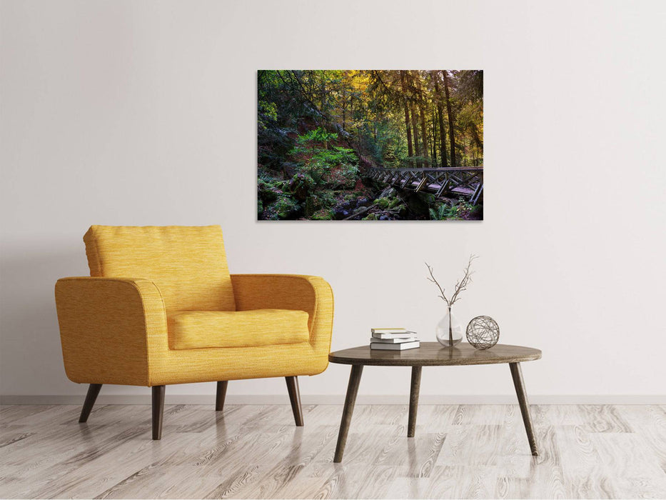 Canvas print The forest bridge