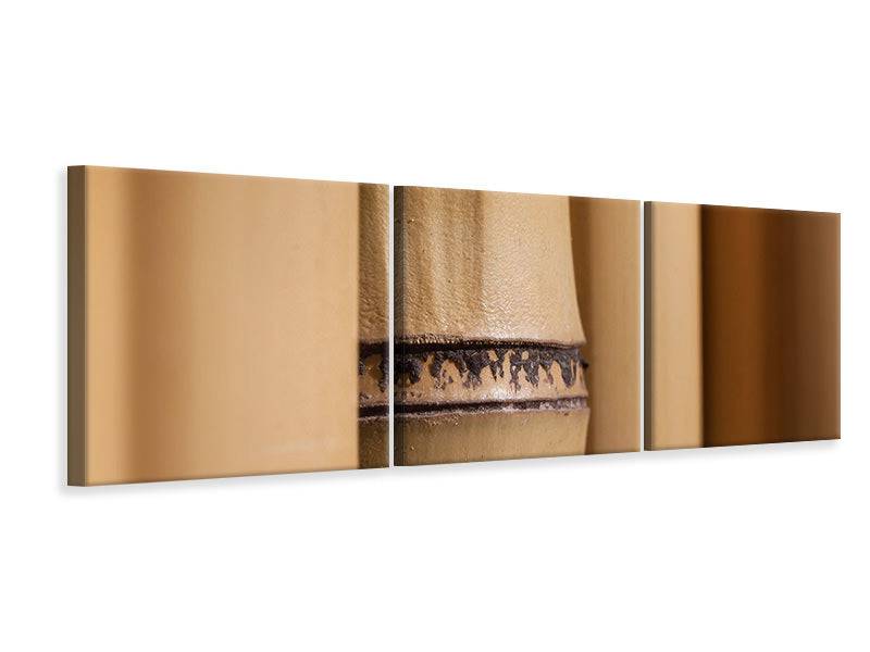 Panorama 3-piece canvas picture Bamboo Close up