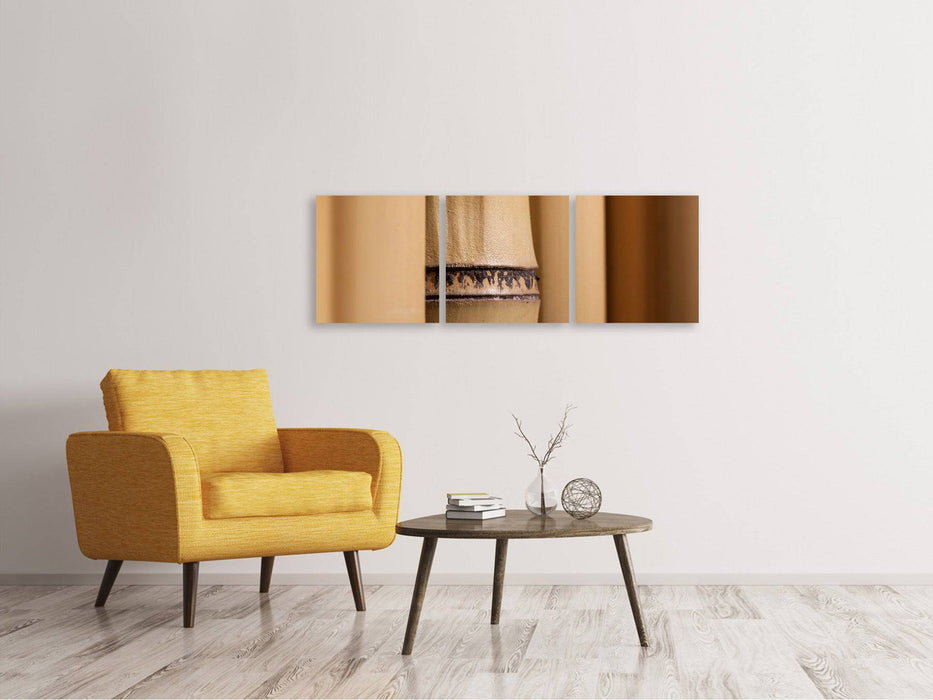 Panorama 3-piece canvas picture Bamboo Close up