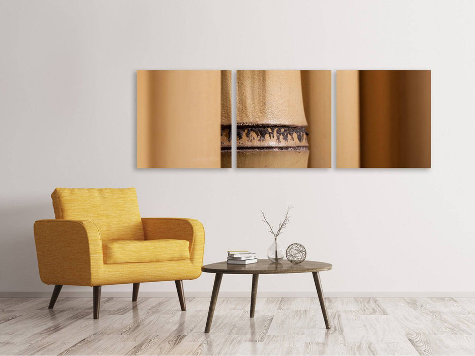 Panorama 3-piece canvas picture Bamboo Close up