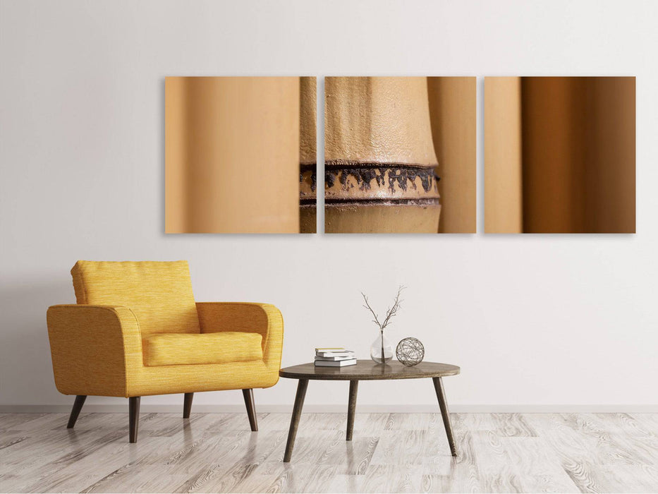 Panorama 3-piece canvas picture Bamboo Close up