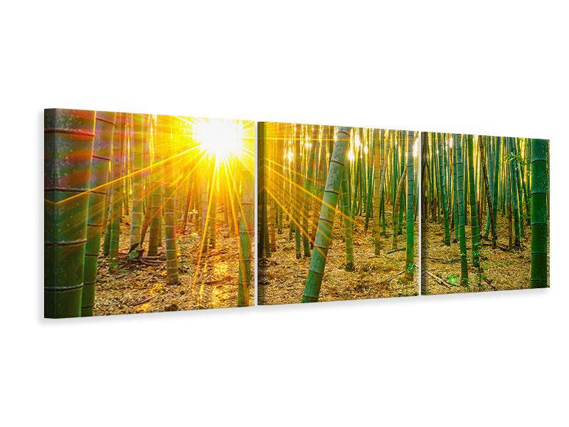 Panoramic 3-piece canvas picture bamboos