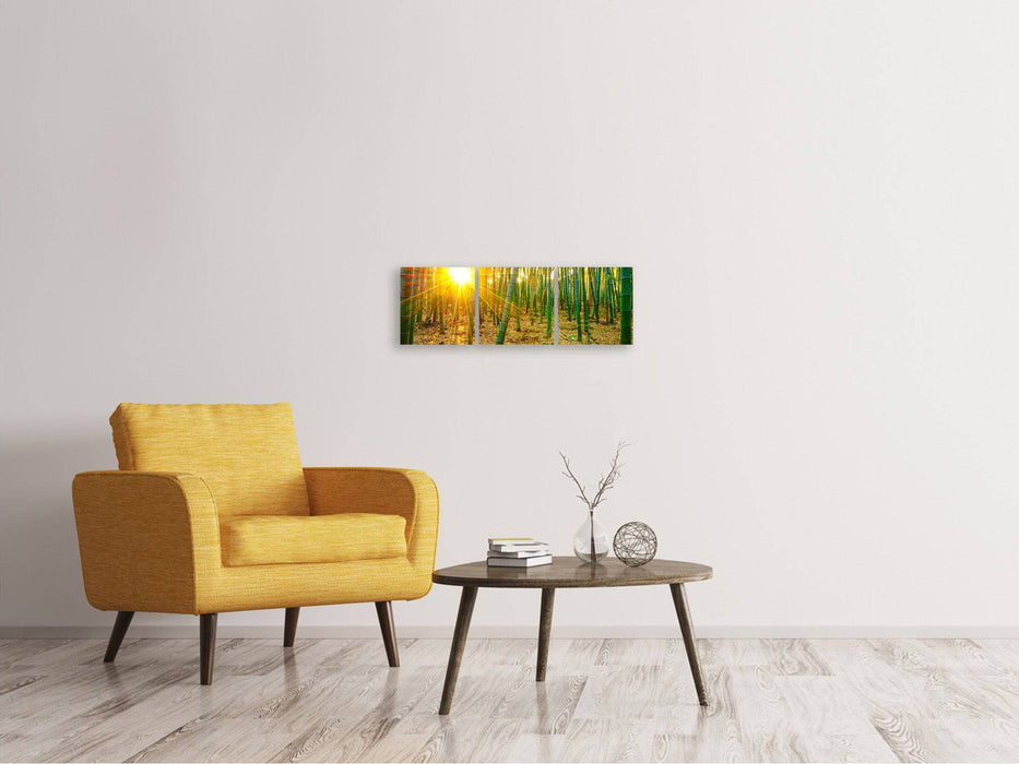 Panoramic 3-piece canvas picture bamboos