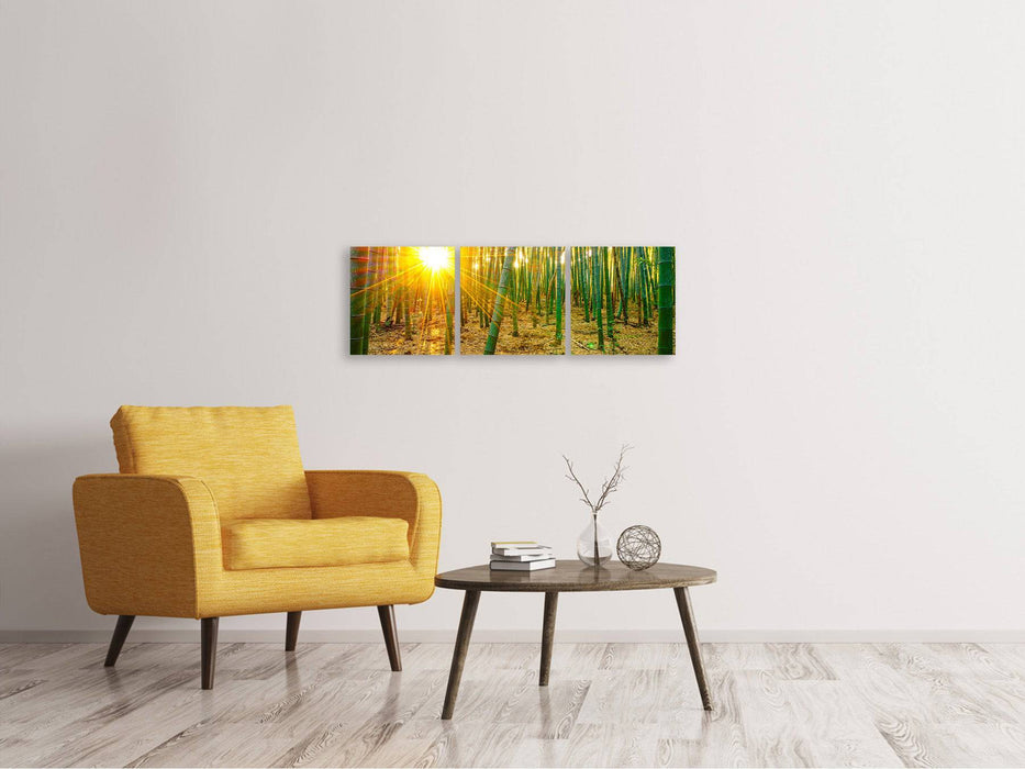 Panoramic 3-piece canvas picture bamboos