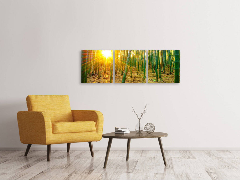 Panoramic 3-piece canvas picture bamboos