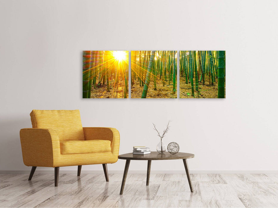 Panoramic 3-piece canvas picture bamboos