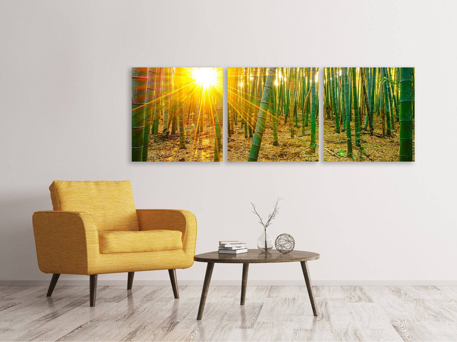 Panoramic 3-piece canvas picture bamboos