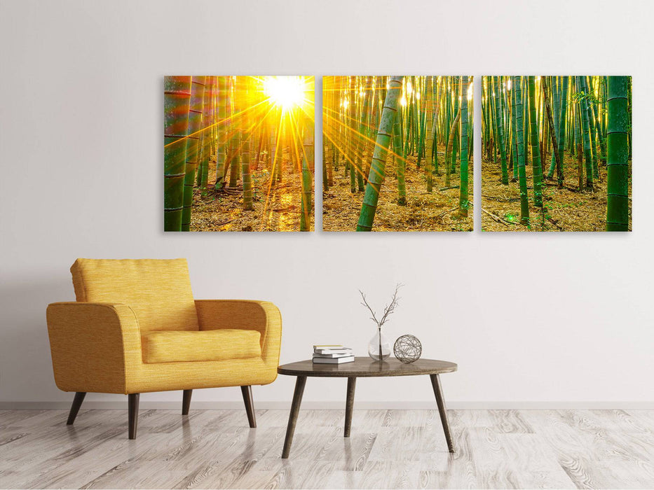 Panoramic 3-piece canvas picture bamboos