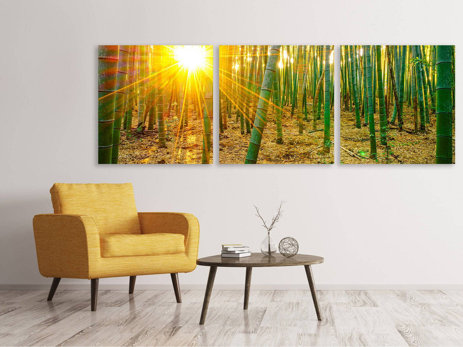 Panoramic 3-piece canvas picture bamboos