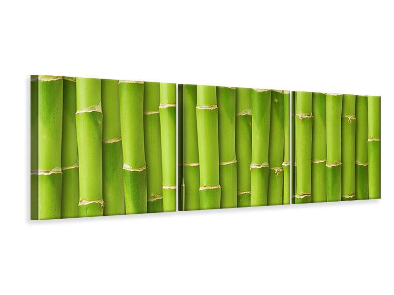 Panorama canvas picture 3 pieces bamboo wall