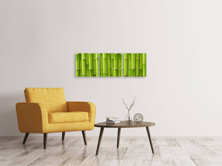 Panorama canvas picture 3 pieces bamboo wall