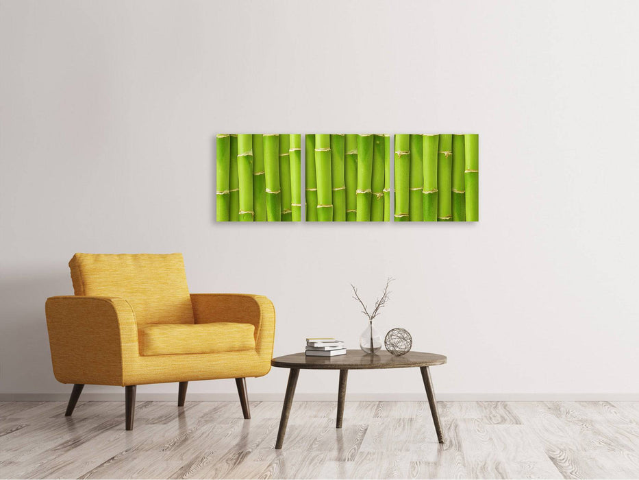 Panorama canvas picture 3 pieces bamboo wall