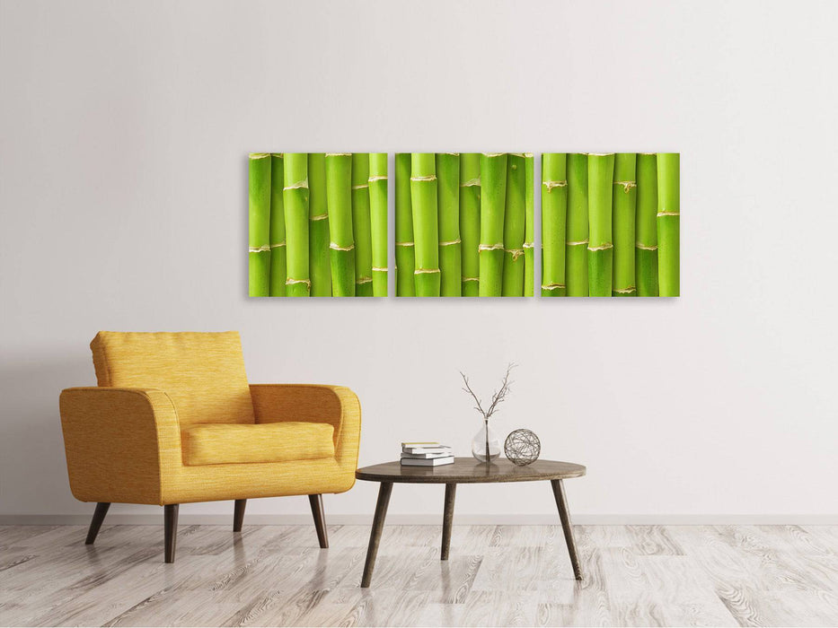 Panorama canvas picture 3 pieces bamboo wall