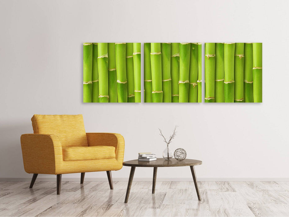 Panorama canvas picture 3 pieces bamboo wall