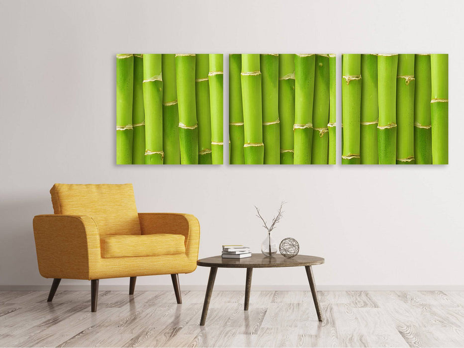 Panorama canvas picture 3 pieces bamboo wall