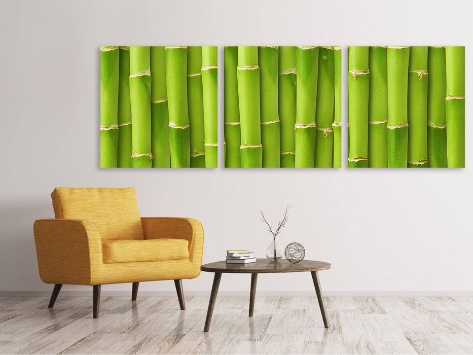 Panorama canvas picture 3 pieces bamboo wall