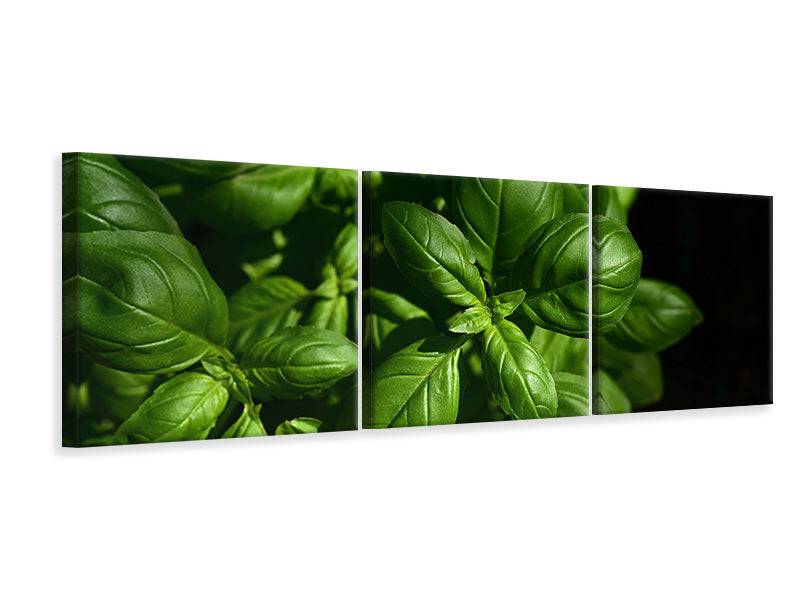 Panorama 3-piece canvas picture Basil in XL