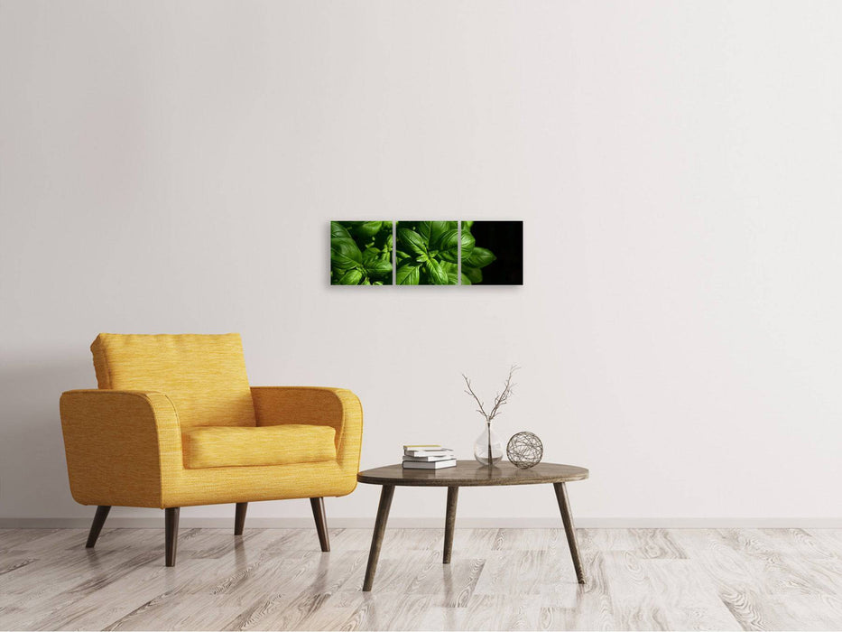 Panorama 3-piece canvas picture Basil in XL