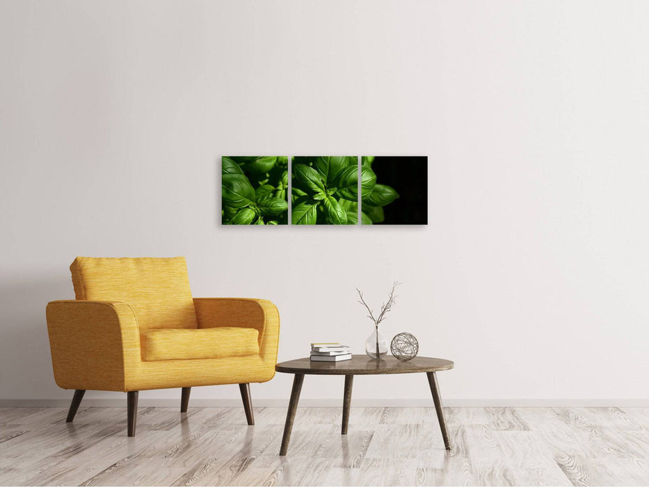 Panorama 3-piece canvas picture Basil in XL