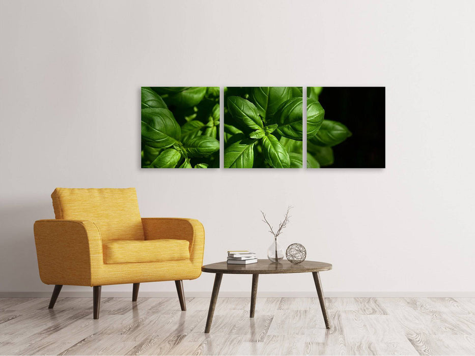 Panorama 3-piece canvas picture Basil in XL