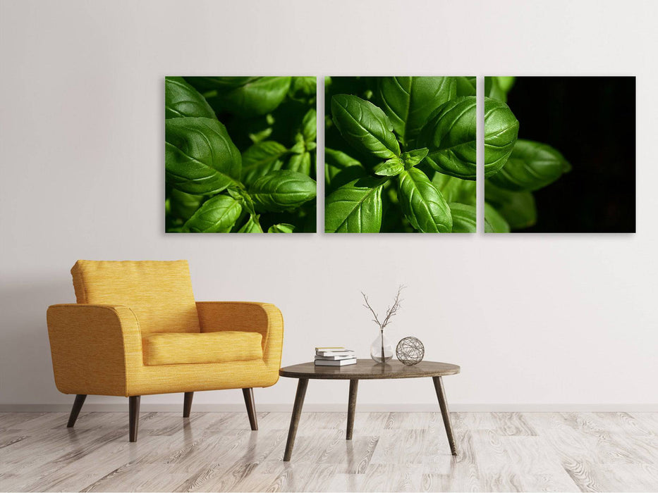 Panorama 3-piece canvas picture Basil in XL