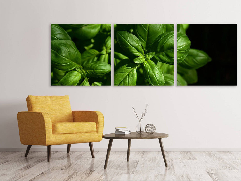 Panorama 3-piece canvas picture Basil in XL