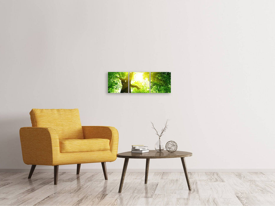 Panoramic 3-piece canvas picture tree