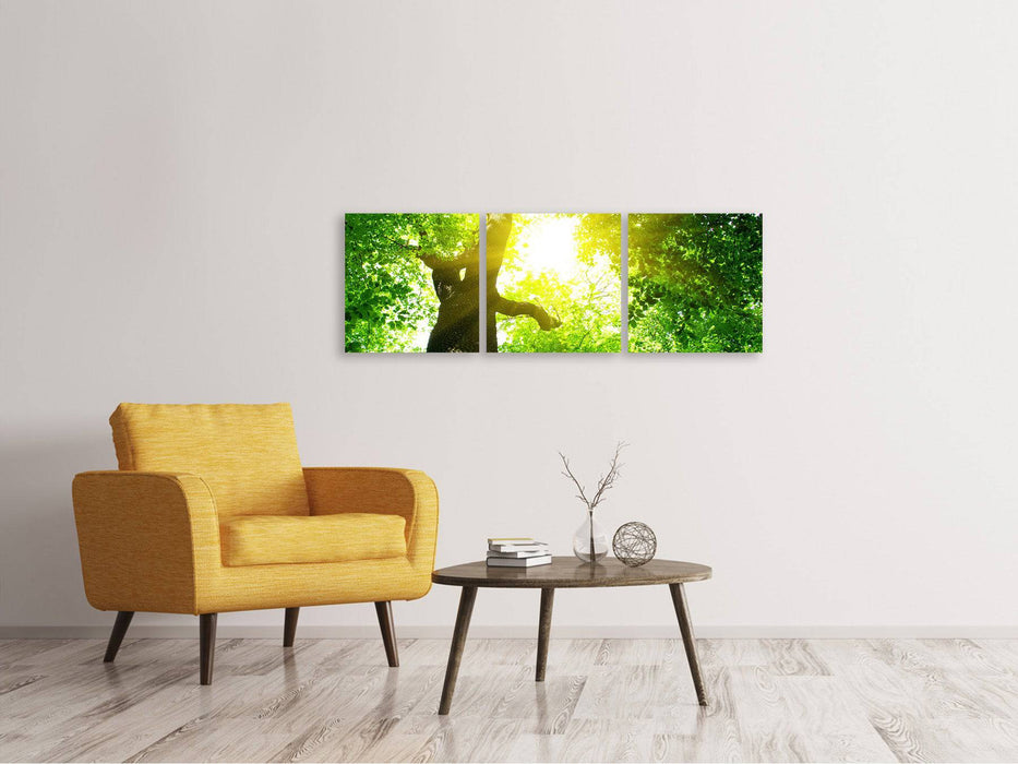 Panoramic 3-piece canvas picture tree